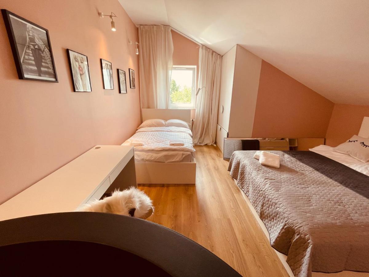 Apartment Ktw Penthouse Z Tarasem