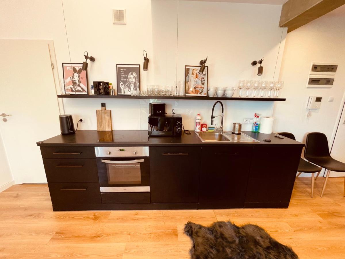 Ktw Penthouse Z Tarasem Kattowitz